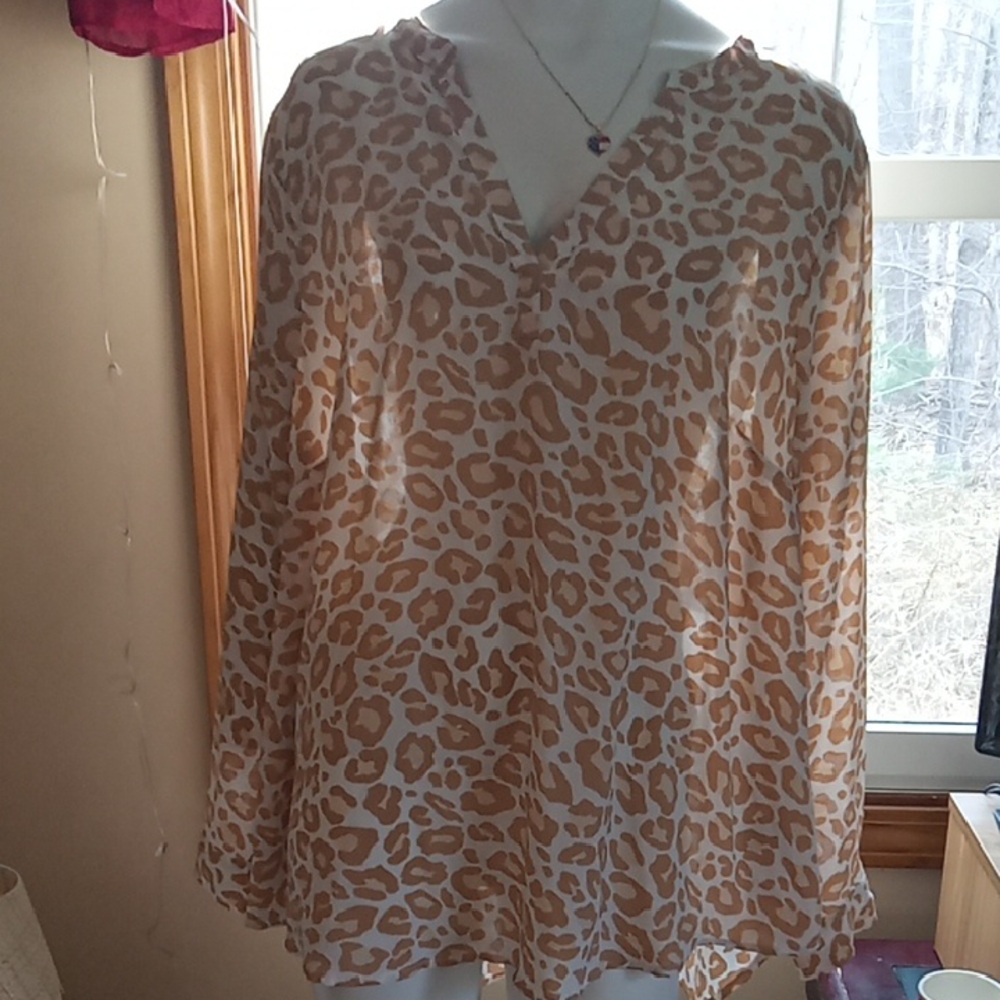 Leopard Print V-Neck Blouse